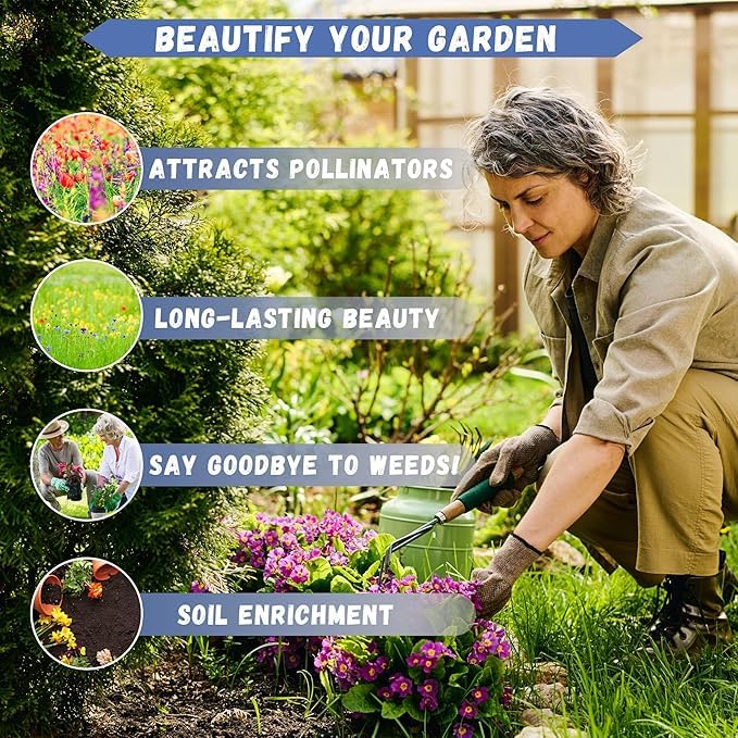 Earth Hopper 50+ SEEDS Lisianthus Flower Mix Colors Seed Pack, Easy Care & Fragrant & Air Purifying for Indoor & Outdoor Gardening.