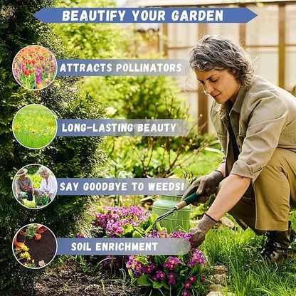 Earth Hopper 50+ SEEDS Lisianthus Flower Mix Colors Seed Pack, Easy Care & Fragrant & Air Purifying for Indoor & Outdoor Gardening.